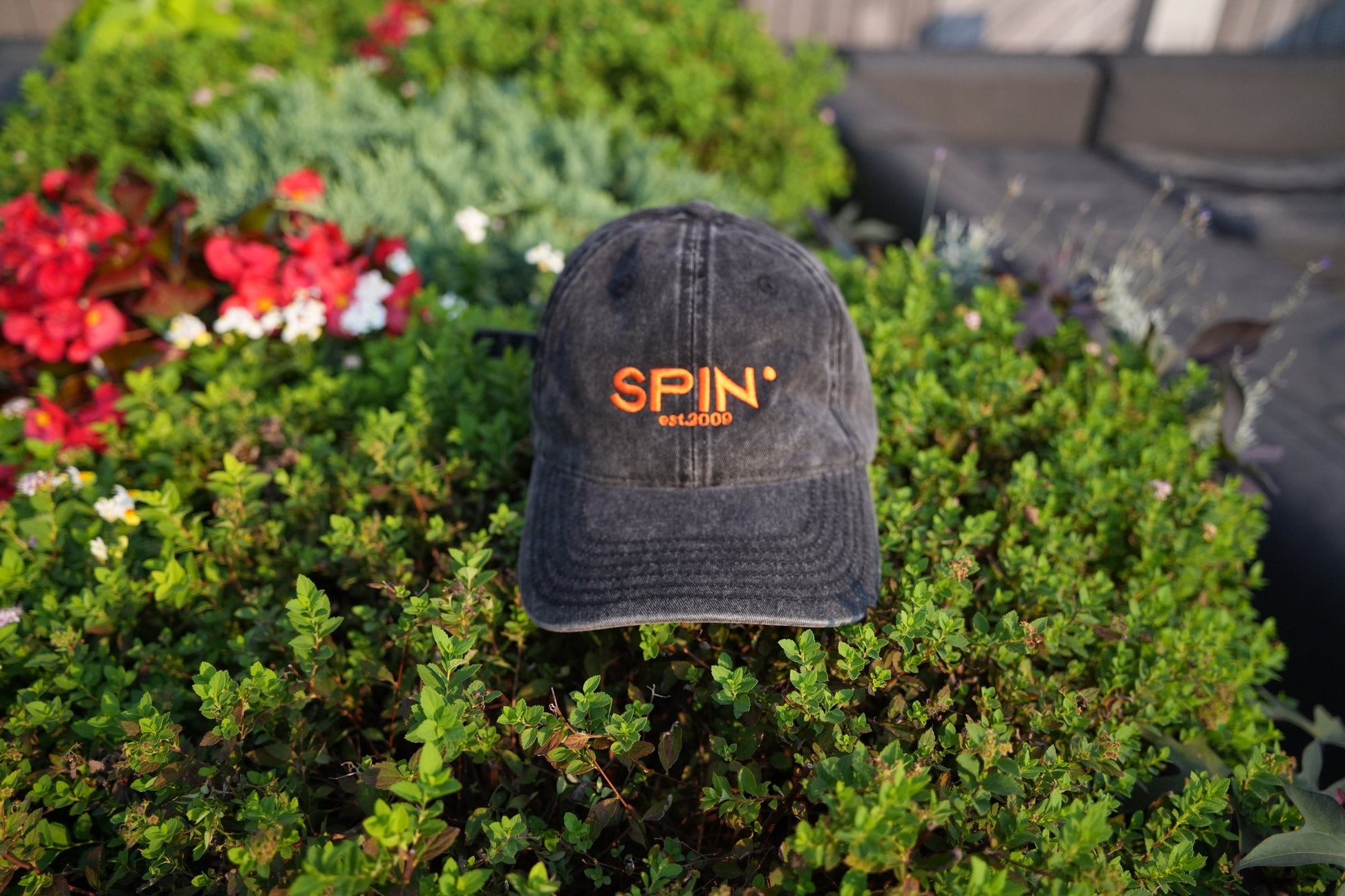 SPIN Club Cap black in the garden